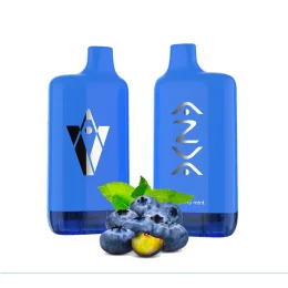 Azva Puff 8000 Çekim Blueberry Mint Aromalı 24v