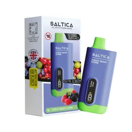 Saltica 12000 Puff Kutulu Forest Berry Storm