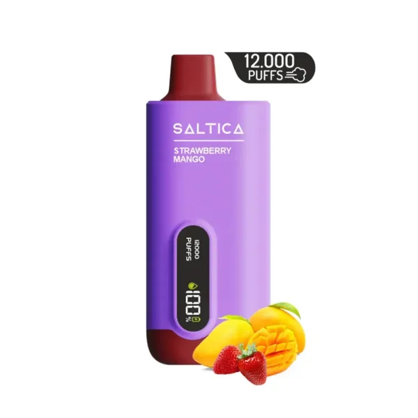 Saltica 12000 Puff Kutulu Watermelon ice