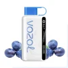 Vozol 12000 Puff Blueberry Storm