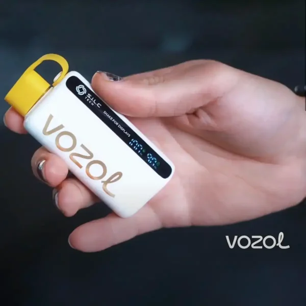 vozol 12000 özellikleri