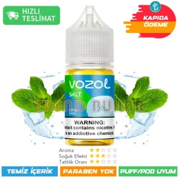 Vozol Likit Cool Mint Salt 30ml